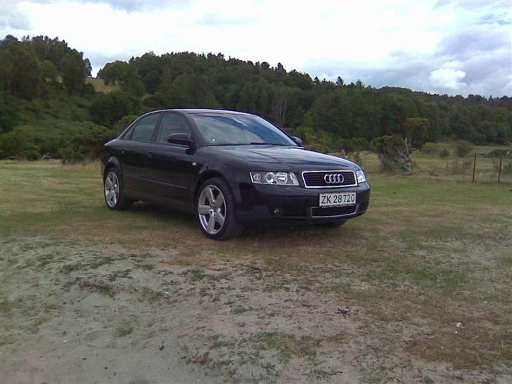 Audi A4 1,8 T (SOLGT) - Bramslev Bakker 2008 billede 6