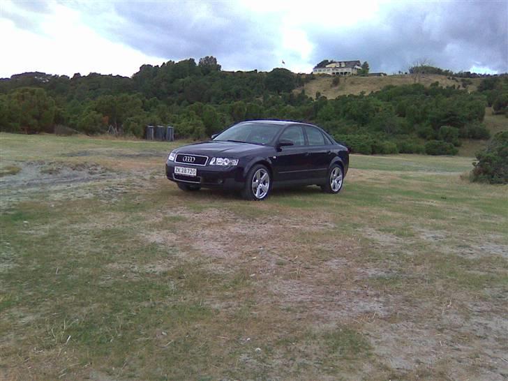 Audi A4 1,8 T (SOLGT) - Bramslev Bakker 2008 billede 7