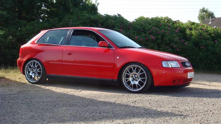 Audi A3 - BLANZ SOCIETY billede 3