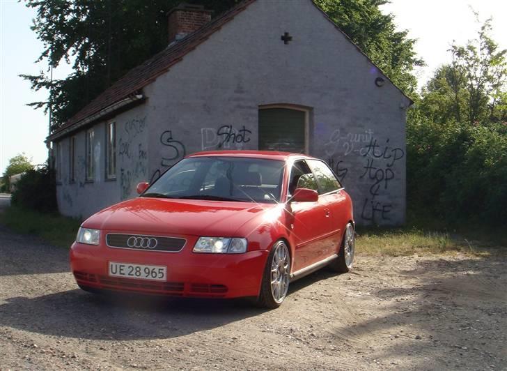 Audi A3 - BLANZ SOCIETY billede 4