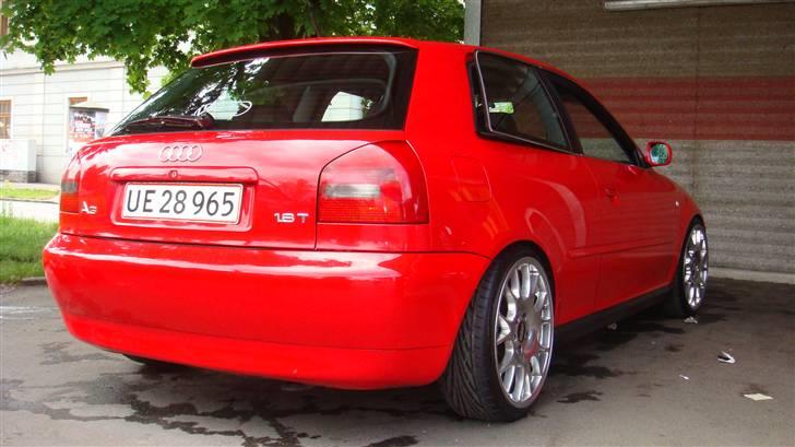 Audi A3 - BLANZ SOCIETY billede 12