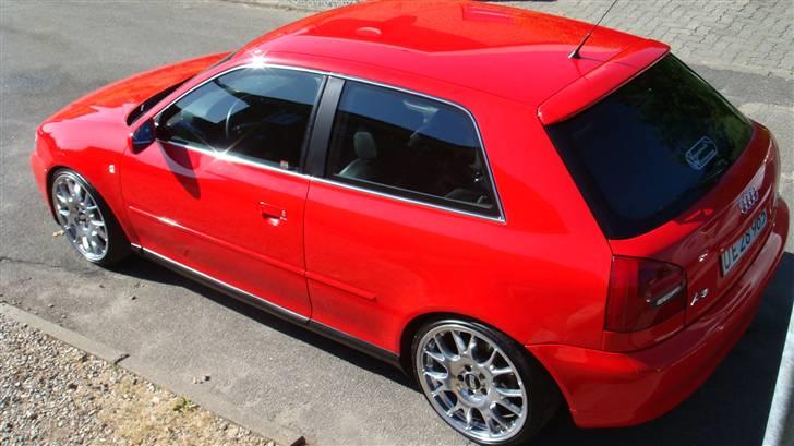 Audi A3 - BLANZ SOCIETY billede 13