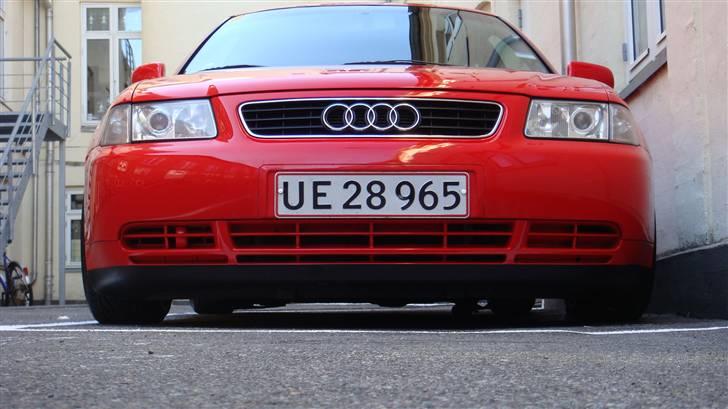 Audi A3 - BLANZ SOCIETY billede 15