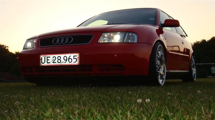 Audi A3 - BLANZ SOCIETY billede 16