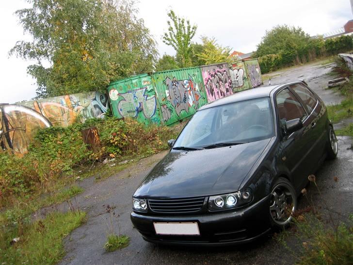 VW Polo 6N 16v billede 1