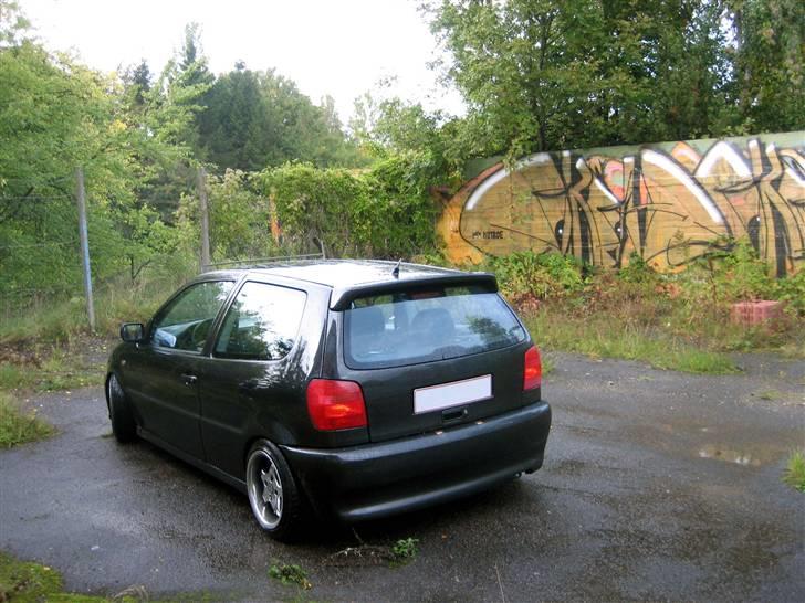 VW Polo 6N 16v billede 6