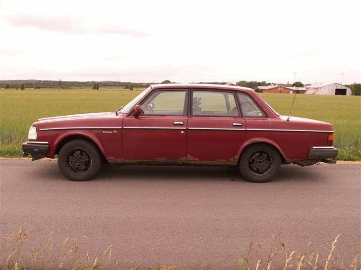 Volvo 240 GL R.I.P. - Hun ligner en der ikk kan svømme og derfor stikker næsen i sky billede 4