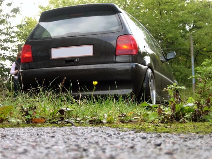 VW Polo 6N 16v billede 8