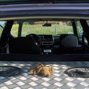 VW golf 2 gti 8v /SOLGT/