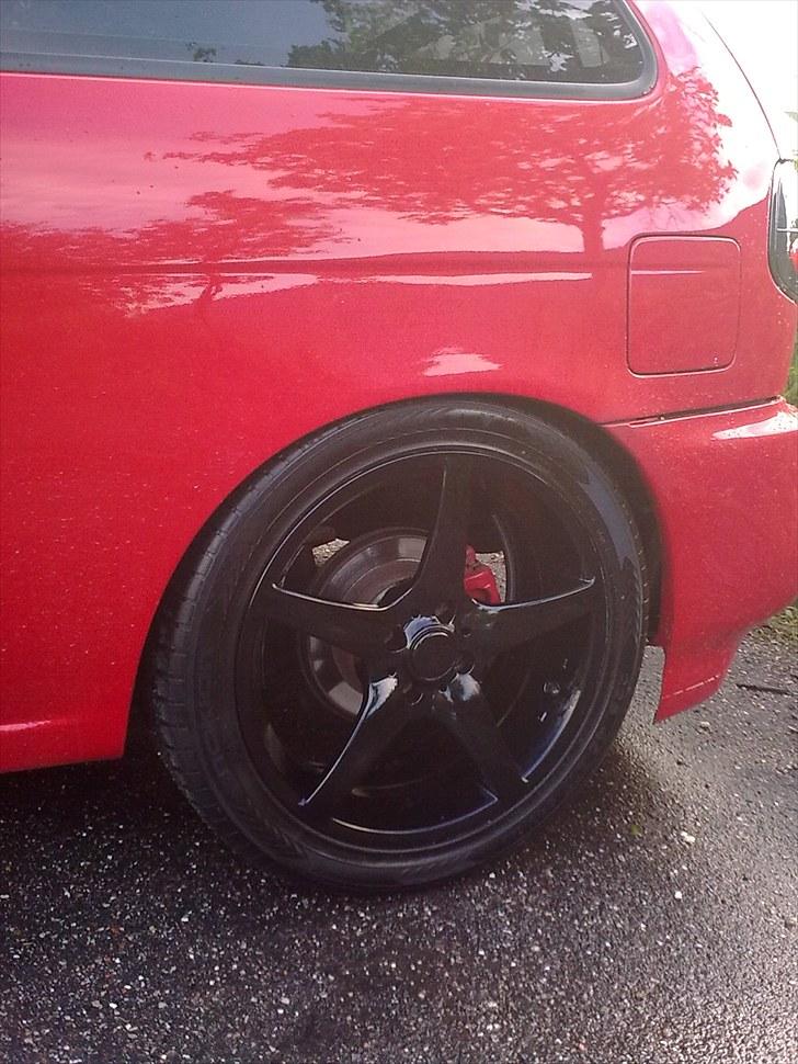 Nissan Almera 1,6 SR - (Solgt) - Sommerfælge billede 5