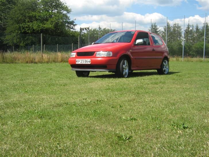 VW polo 6n(solgt) billede 3