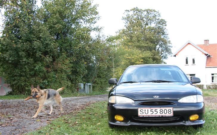 Hyundai Accent DOHC 16V Solgt - som den står idag den 30 okt 08 :). billede 1