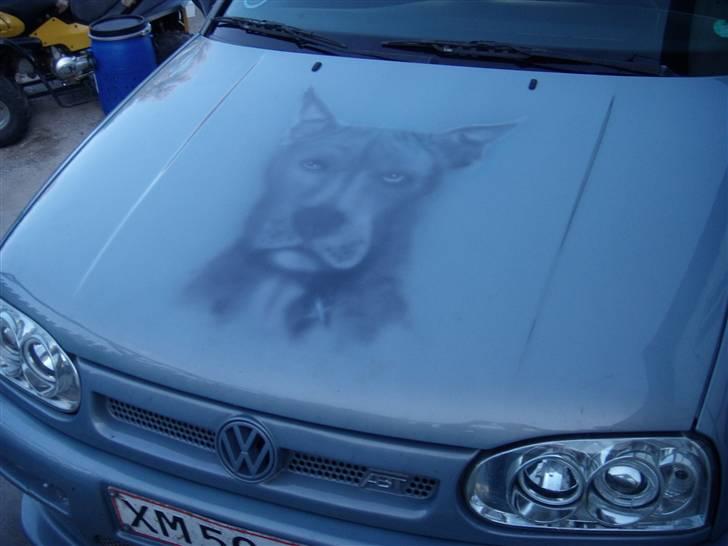 VW GOLF 3 - maleri af vores hund på kølerhjelm. billede 1