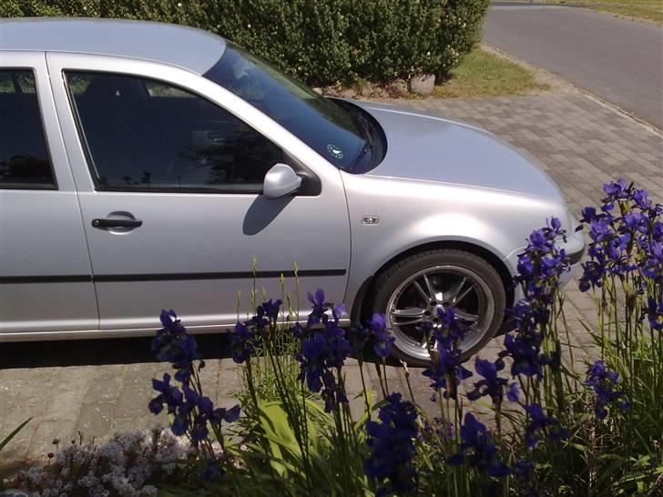 VW Golf IV Solgt billede 4