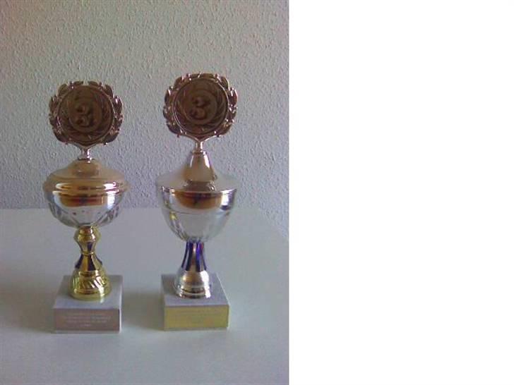 VW Polo 6N "SOLD 19/10-08" - NR.3 i Kleinvollstedt (Tyskland) 2 år i træk. billede 15