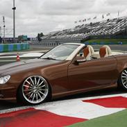 Mercedes Benz SLK "Custom" 