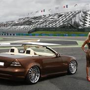 Mercedes Benz SLK "Custom"