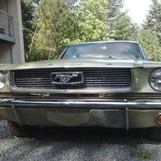 Ford Mustang (Projekt) 