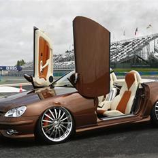 Mercedes Benz SLK "Custom" 