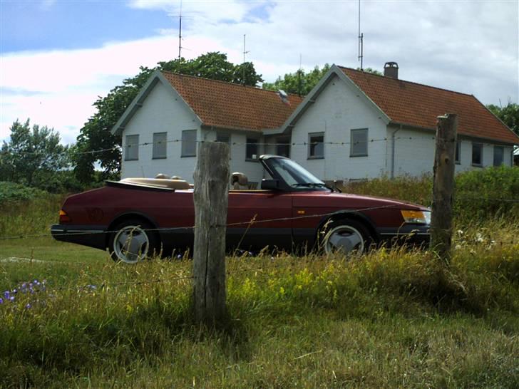 Saab 900 Aero Cab billede 1