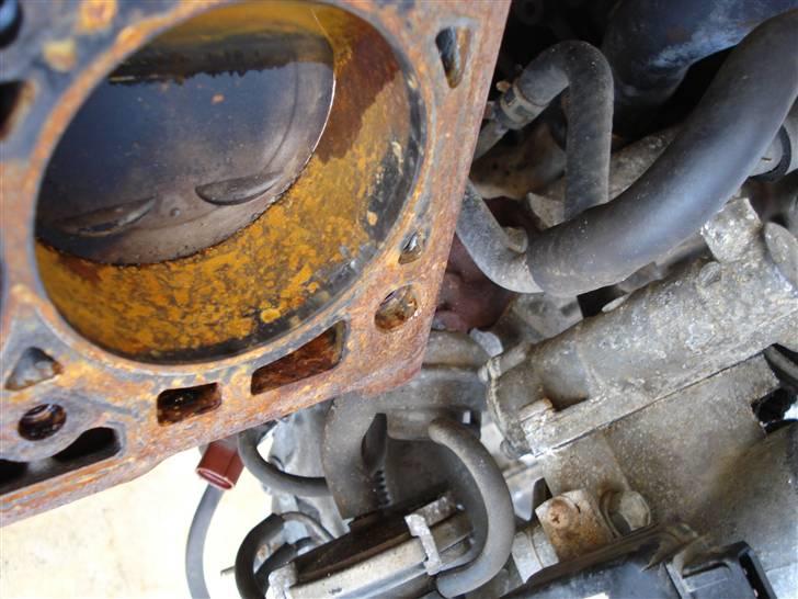 Fiat Bravo SOLGT - Flosset i kanten billede 5