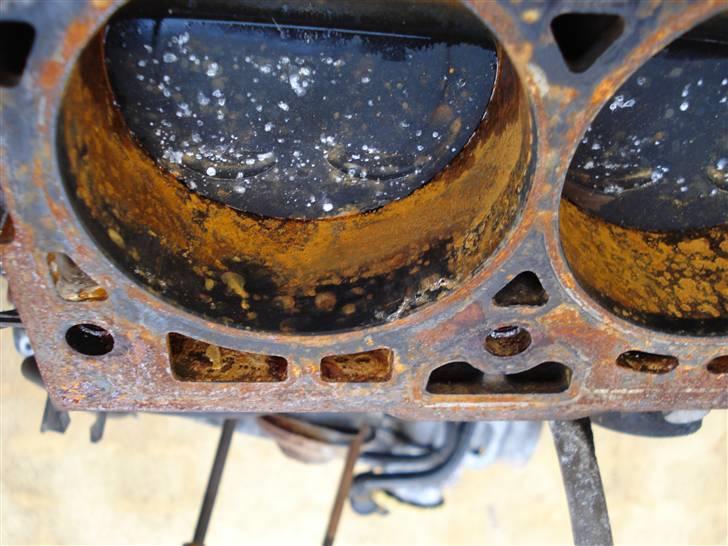 Fiat Bravo SOLGT - Flosset i kanten billede 6