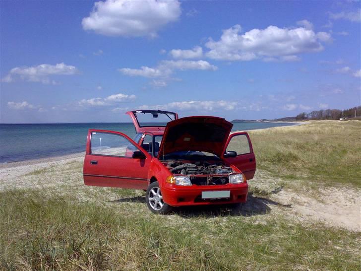 Suzuki                     Swift - Flying billede 14