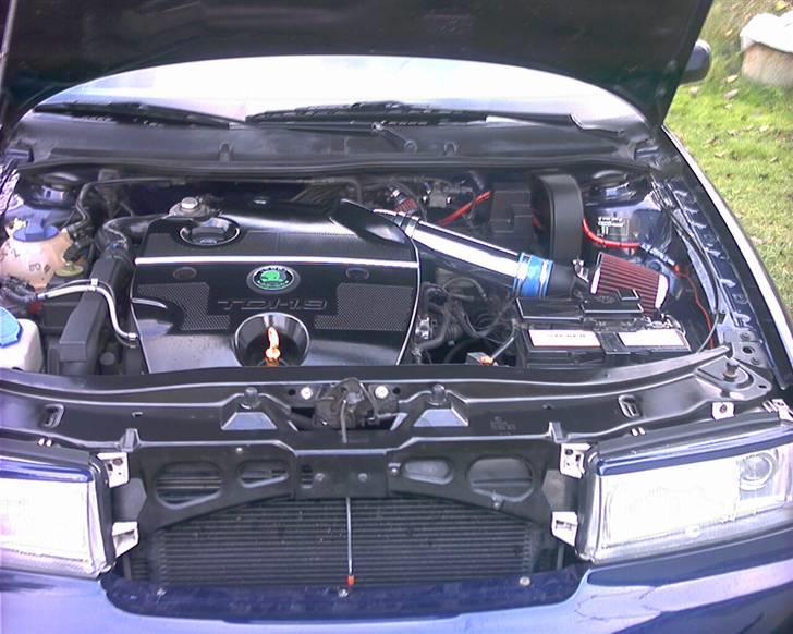 Skoda octavia "New Pics" billede 2