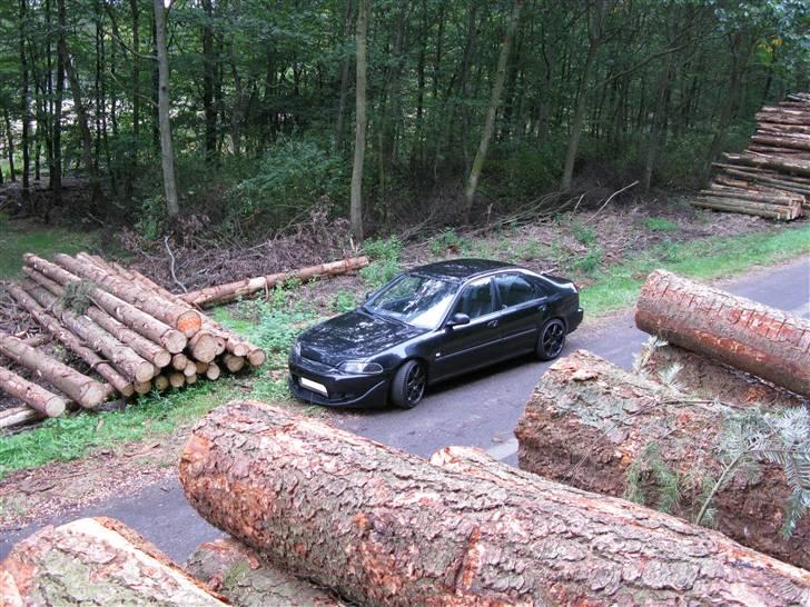 Honda Civic 1,6 byttet. billede 2