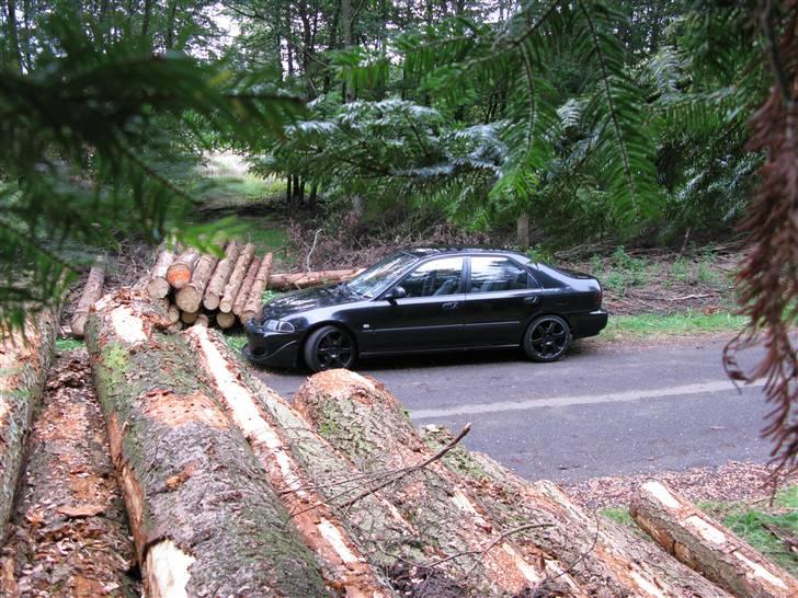 Honda Civic 1,6 byttet. billede 3