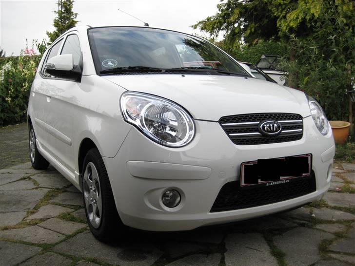 Kia picanto Exclusive hvid  billede 7