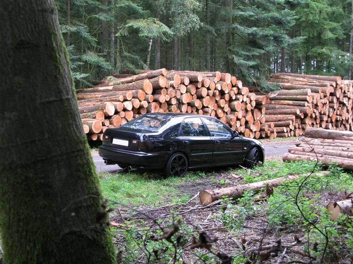 Honda Civic 1,6 byttet. billede 9