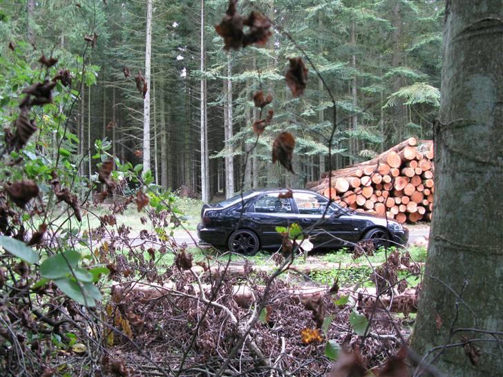 Honda Civic 1,6 byttet. billede 17