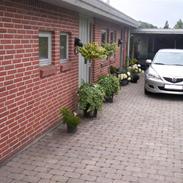 Mazda Mazda 6 inklusive