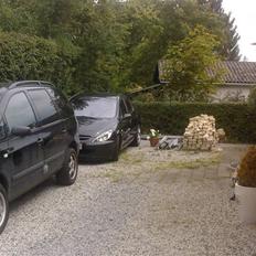 Peugeot 307 *LØVEN* SAVNET !