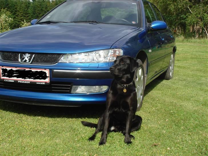 Peugeot 406 XS4 SOLGT - vagthunden passer på vogen :) billede 10