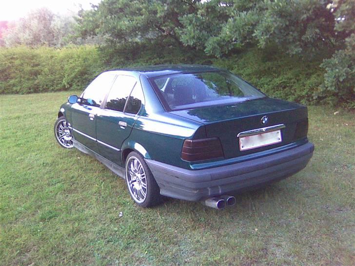 BMW 318i SOLGT billede 2