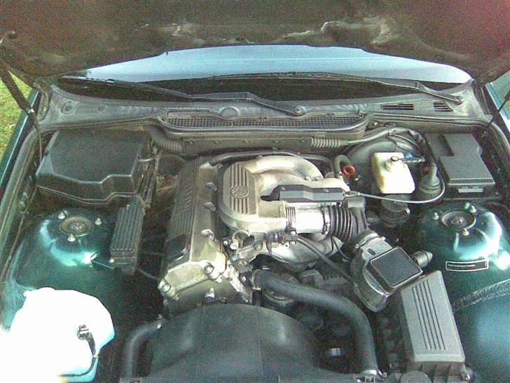 BMW 318i SOLGT billede 9