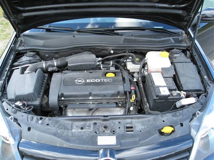 Opel Astra H 5-dørs billede 5