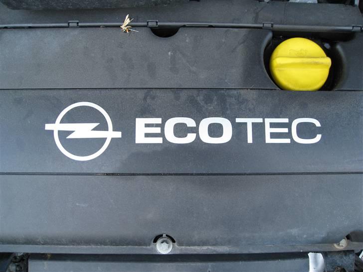 Opel Astra H 5-dørs billede 13