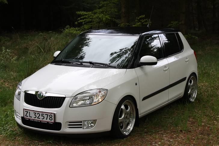 Skoda Fabia Greenline billede 1