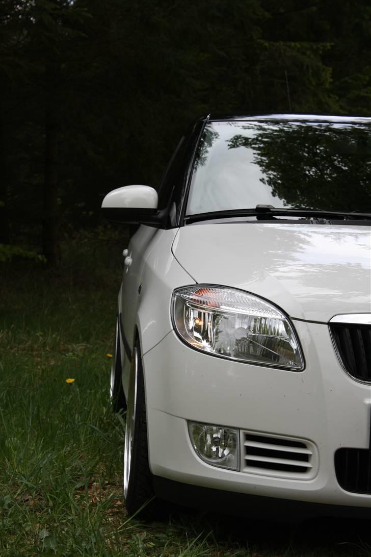 Skoda Fabia Greenline billede 3