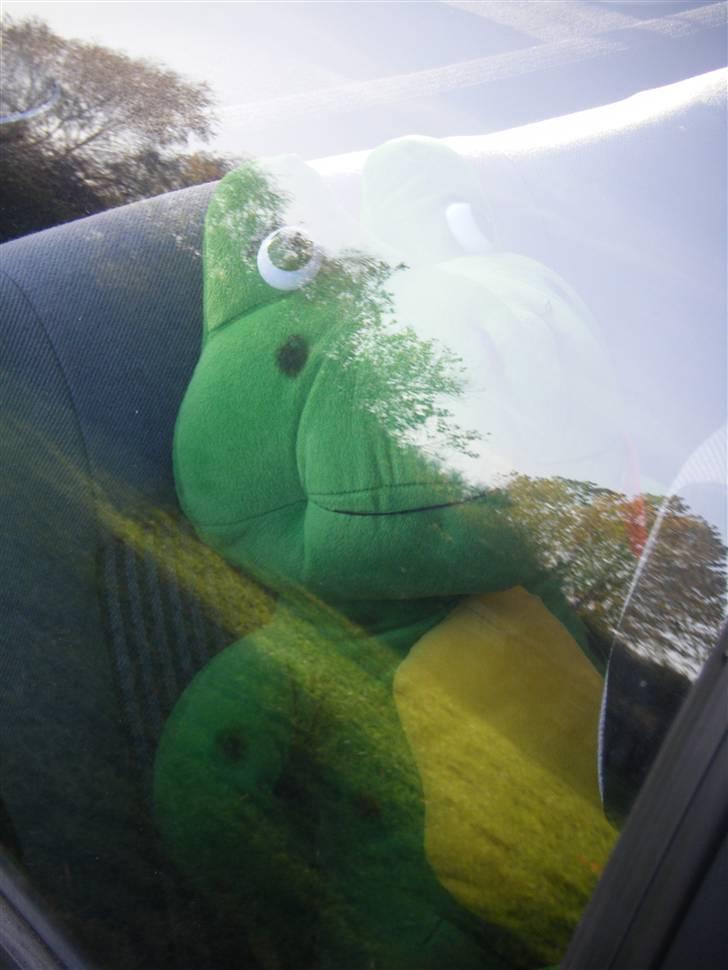 VW Polo Coupé *Sussi* - Sussi´s maskot Froggy, sidder trofast på bagsædet billede 5