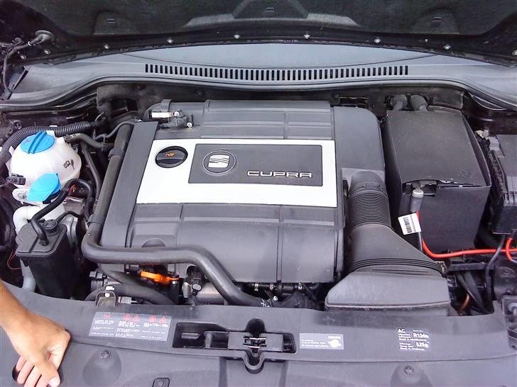 Seat Leon Cupra billede 6