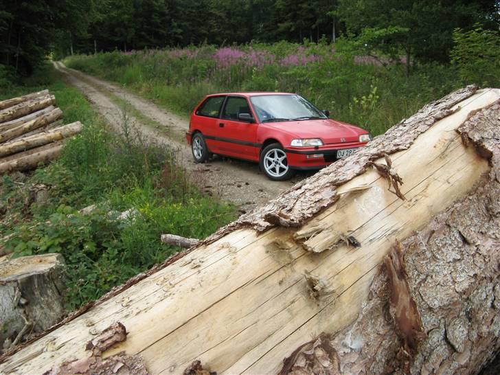 Honda Civic 1.5 16V EXI billede 13