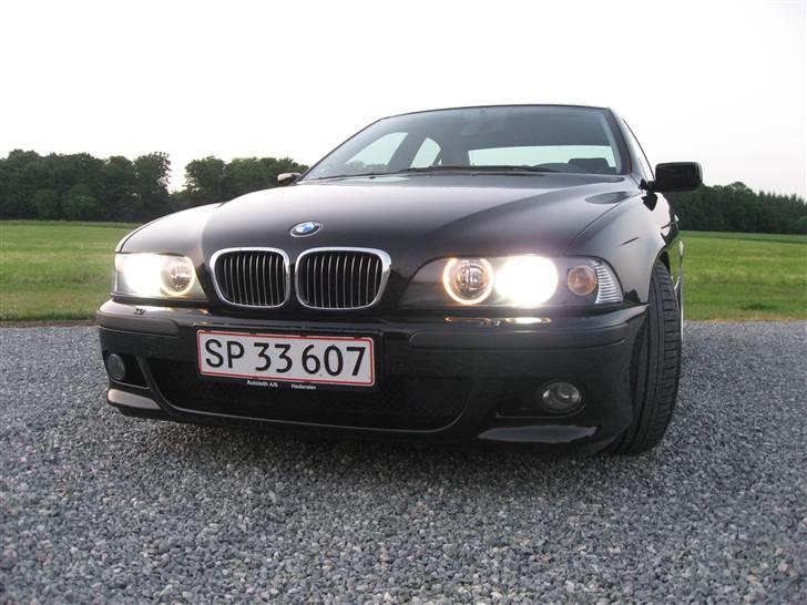 BMW E39 520i billede 2