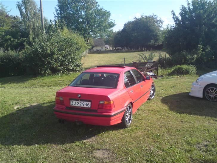 BMW 325I Old Edision (Byttet) billede 3