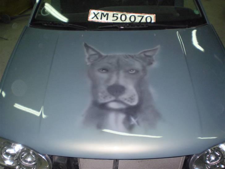 VW GOLF 3 - kølerhjelm. billede 13