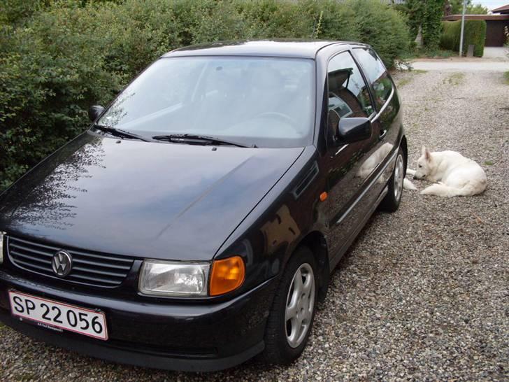 VW polo 6n solgt billede 3