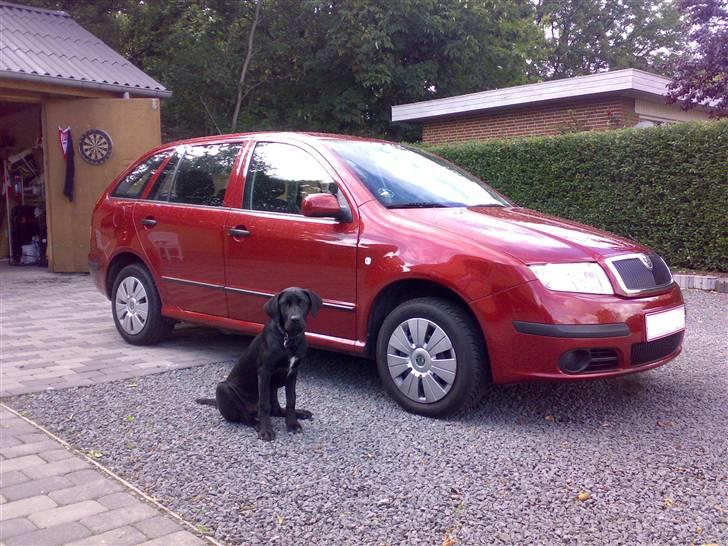 Skoda Fabia 1,9 TDI Combi  billede 2